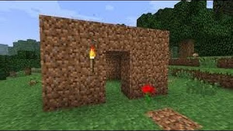 I BUILT A HOUSE IN CAPTURE THE WOOL