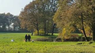 Wedstrijd 17 Nov 2019 Heenvliet