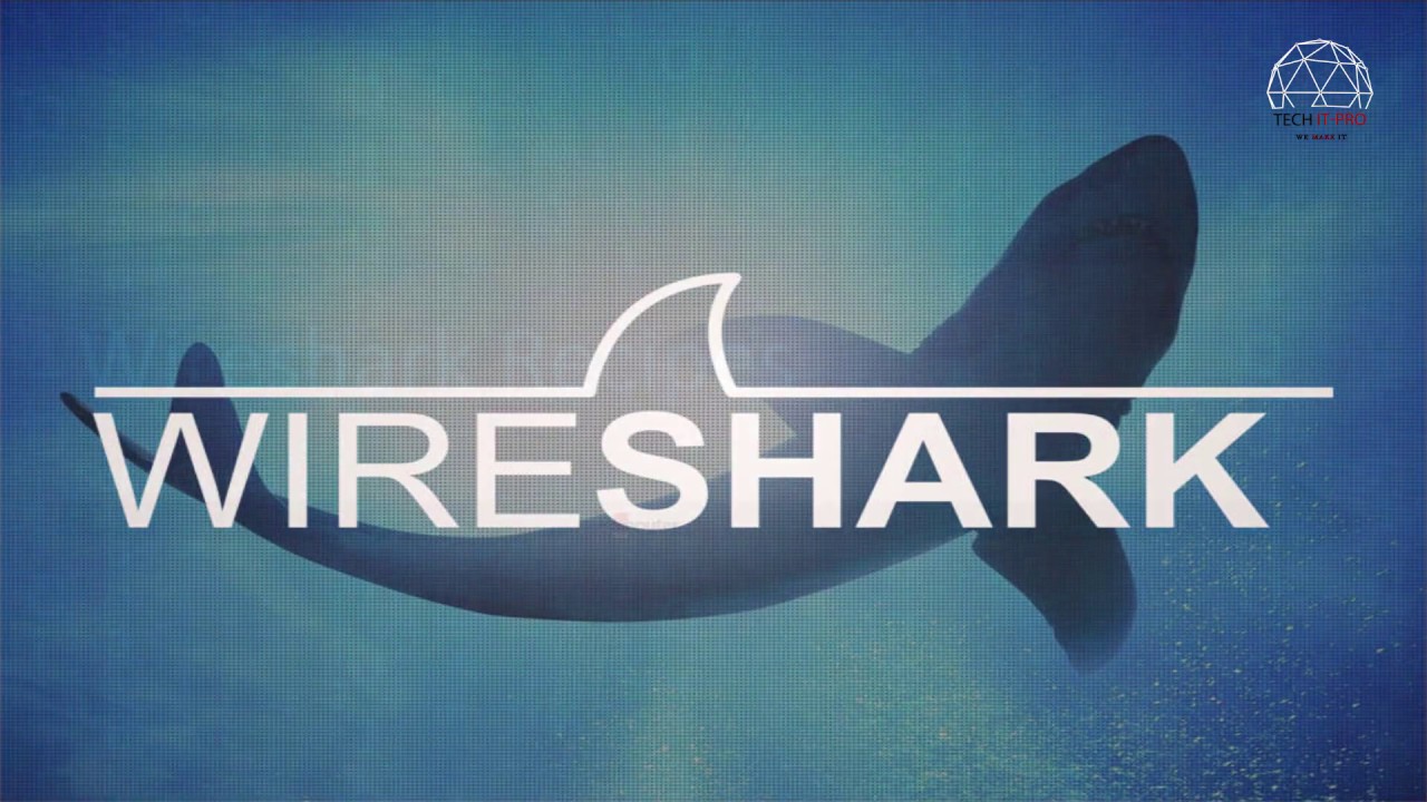 Wireshark download. Wireshark. Wireshark лого. Wireshark программа. Wireshark Portable.