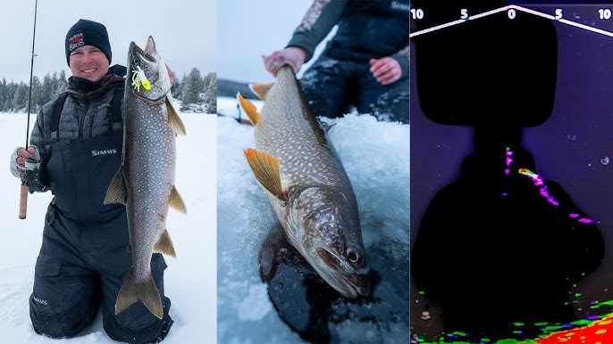 ICE FISHING LAKE TROUT WITH MY FAVORITE LURE! 