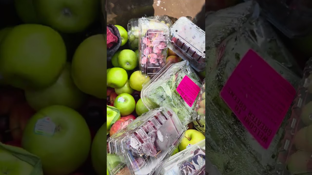 Achados incrivel nesse dumpster! Lixo luxo.