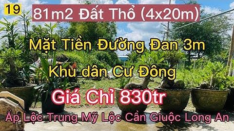 Bán 81m2 Đất Full Thổ Cư Mặt Tiền Đường Đan 3m Giá Chỉ 830tr Ấp Lộc Trung Mỹ Lộc Cần Giuộc Long An