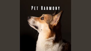 Harmony for Happy Pets