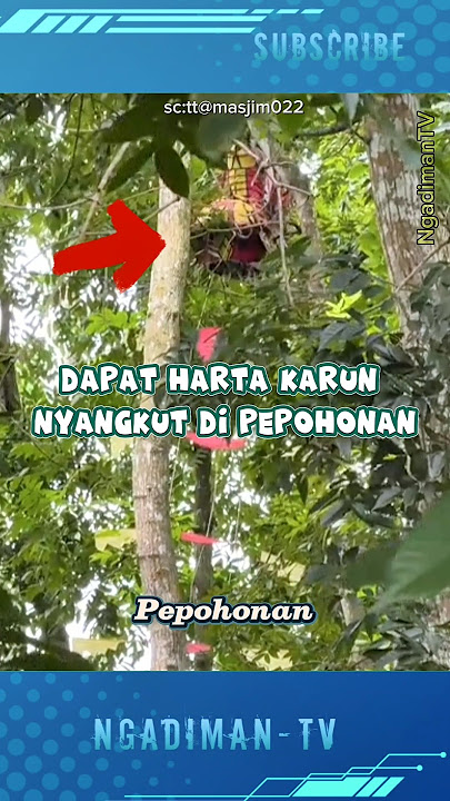 PENEMUAN HARTA KARUN LAYANGAN PUTUS #viralvideo #shortsvideo #trending #layangan