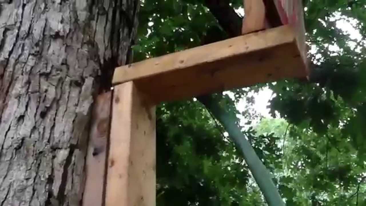 (Homemade dunk bucket)The Backyard Amusement Park! YouTube