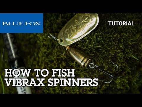 How To Fish One Of The Best Multi-Species Lures Ever Made (Blue