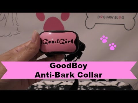 good boy mini bark collar