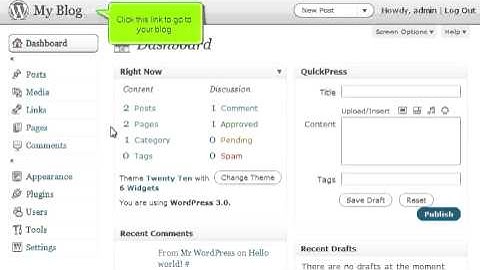 How to write a comment in WordPress