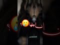 شفت البت الجسم الاستيك حالات واتس ابب شفت البت الجسم الاستيك حالات واتس ابب