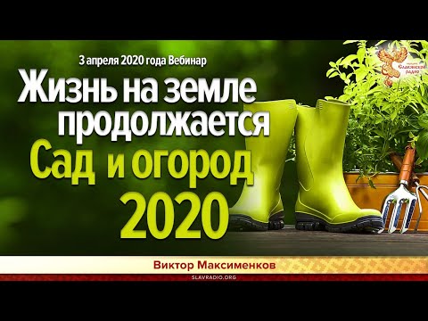 Жизнь на Земле продолжается. Сад и огород 2020. Виктор Максименков