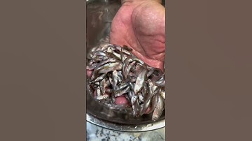 Cá Linh Non Kho Trái Giác đặc sản mùa nước nổi Miền Tây | 3TV Official #Shorts #573