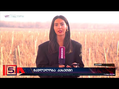 კაცი, რომელმაც მასთან მისულ სტუმარს სასიკვდილო ჭრილობები მიაყენა, დუმილს ცოტა ხანში დაარღვევს