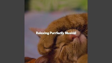 Understated Backdrops for Co-Working Space