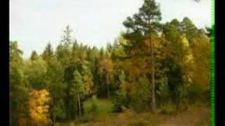 Video voorbeeld van "Svet biloi lubvi"