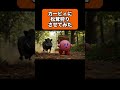 AI Made: Kirby Goes Matsutake Hunting!カービィに松茸狩りさせてみた！#カービィ #生成ai #kirby