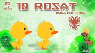 Five Little Ducks Nursery Rhymes | Albanian Rhymes | Bleta ™ Resimi