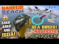 BASECO SEABIRDS NAGFIESTA SA DAMI NG ISDA! NAGDIVE PA! SAKO-SAKO ANG HULI SA BASECO BEACH WOW!