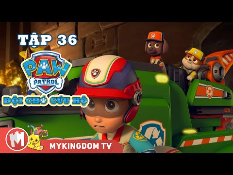 ĐỘI CHÓ CỨU HỘ PAW PATROL MINI | Tập 36: Biệt Đội Cứu Hộ Và Những Khúc Xương Vàng | Phim hoạt hình