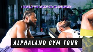 DISNEYLAND OF FITNESS | ALPHALAND GYM TOUR & GUIDE