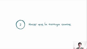 Dibujando un rectángulo - Python Turtle