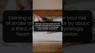 Science Suggests Cats Could Lower Your Stroke and Heart Attack Risk