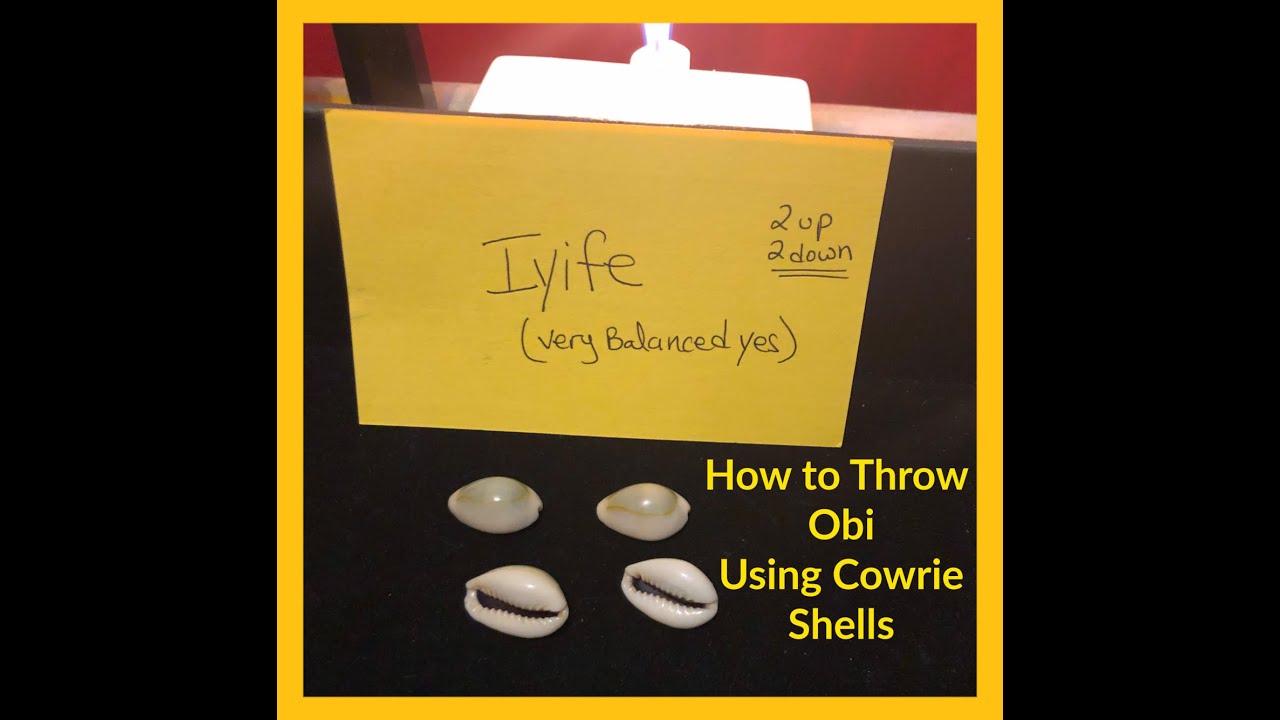 How to Throw Obi Using Cowrie Shells |  ATR | A Traditional Way to Communicate with Divinity