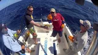 Wicked Weasel 2013 - Go Pro Hero