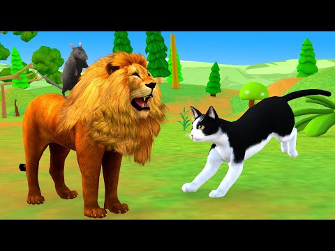 वीडियो: अद्भुत बिल्लियाँ: काले शेर