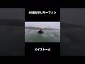 65歳おやじサーファーのメイストーム
