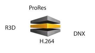 ProMAX Workflow Tips: File Ingest with Platform Tasks