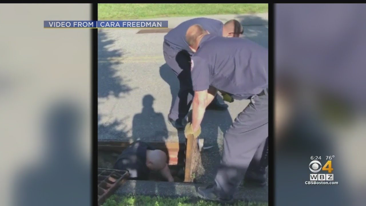 Salem Firefighters Rescue Ducklings From Storm Drain - YouTube