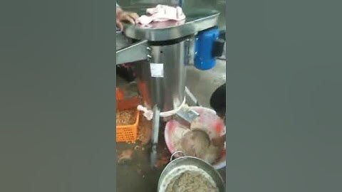 Peach destoner and pulper also do remove core of cherry plum