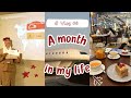 شهر في حياة مضيفة طيران One Month In A Cabin Crew Life
