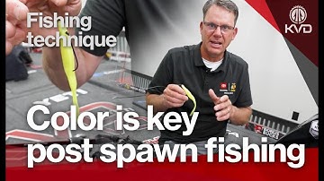 Soft plastic color is everything - spawn and post-spawn fishing tip