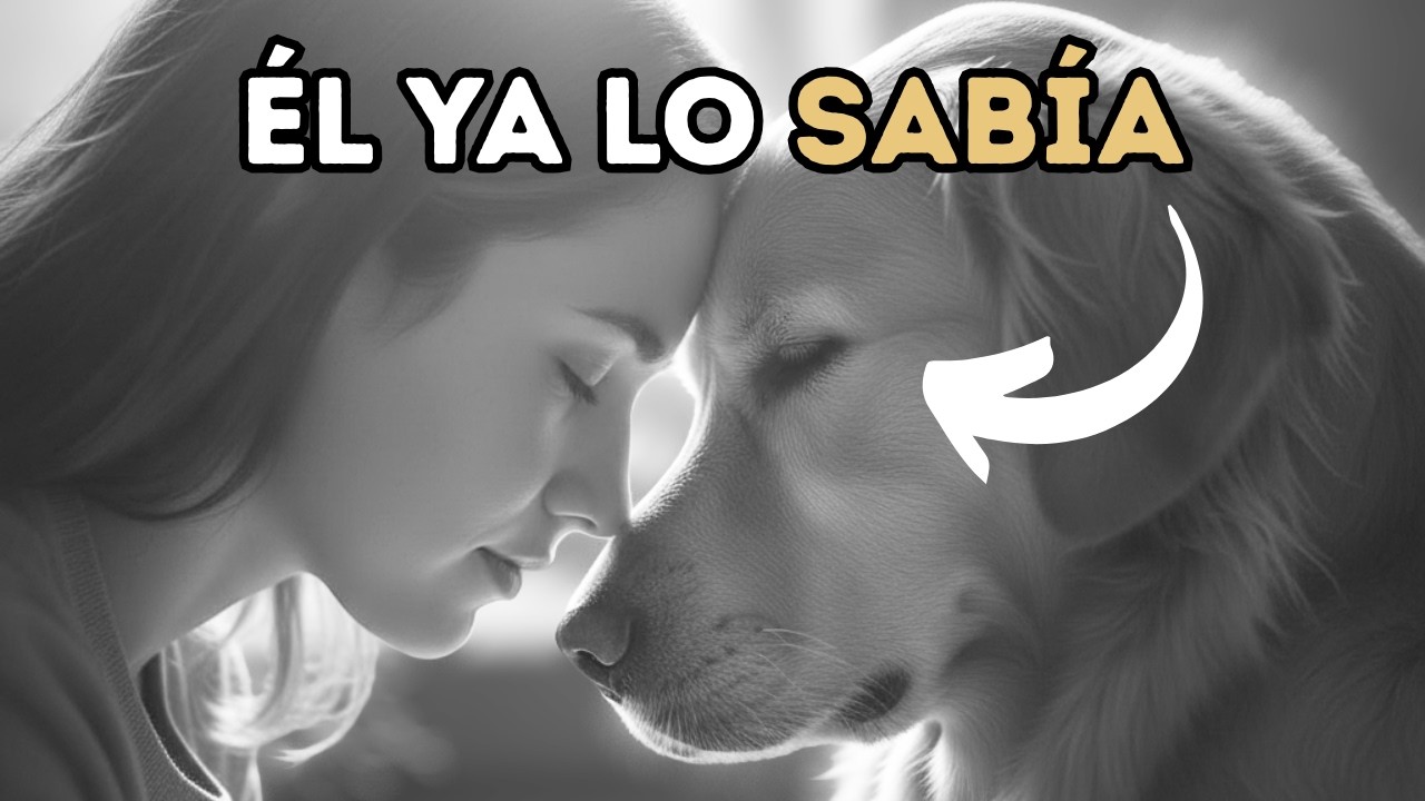 10 Momentos en Los Que Tu Perro te Salva la Vida (sin que lo sepas)