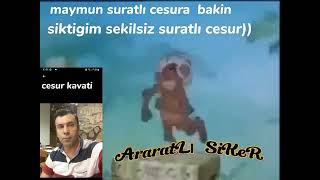 Seslikervancom - Sesli Site Sesli Siteler Sesli Chat Siteleri İzle Göt Cesur