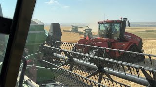 Getting back in the groove…sorta. Day 1 Highwood Montana wheat harvest