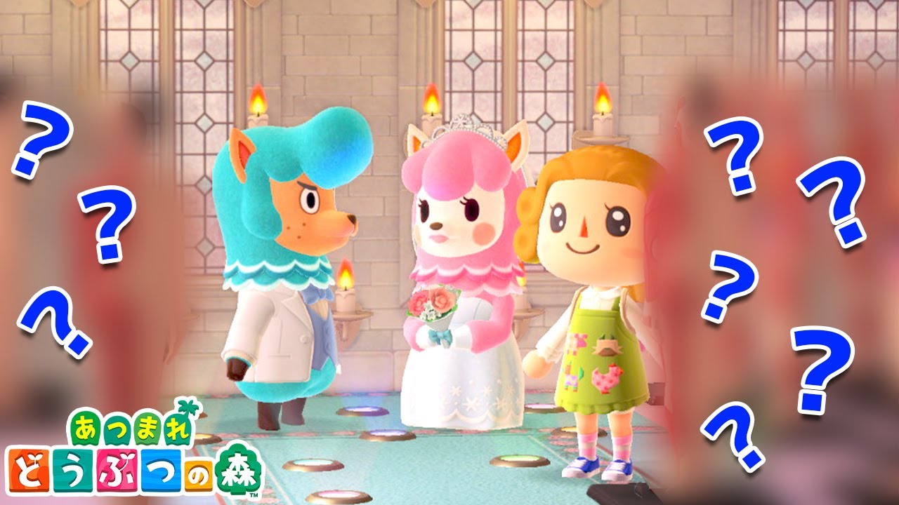 とんでもない事になった結婚記念写真「あつまれ どうぶつの森」【21日目】