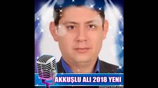 Akkuşlu Ali 3.2018