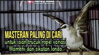 Masteran trucuk paling dicari dan mudah di tirukan untuk isian  ropel variasi Wambhi & sikatan londo