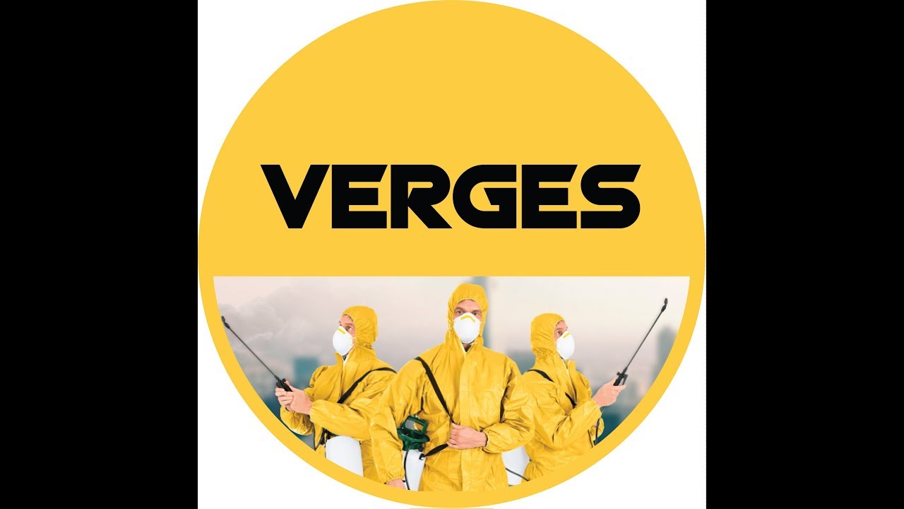 Как избавится от клопов и тараканов в Иркутске Дезинфекция домов ...