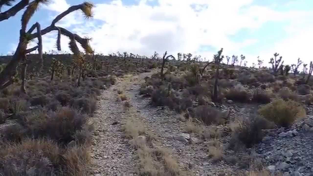 Access to the copper mine near the Mojave Cross