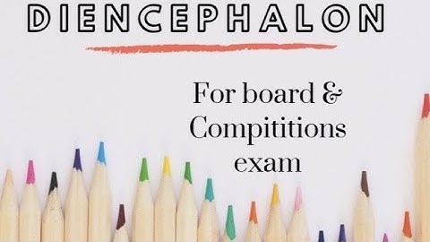 Diencephalon-thalamus, hypothalamus & epithalamus locations and major functions.