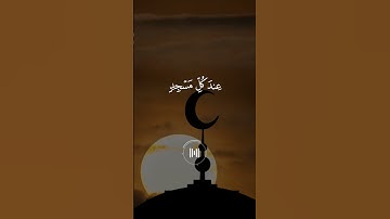 سعد الغامدي - سورة الأعراف - وكلوا واشربوا ولا تسرفوا انه لا يحب المسرفين