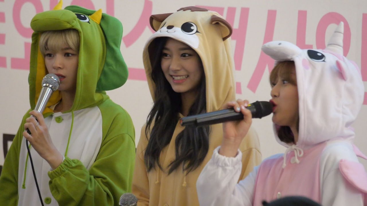 161204 트와이스 TWICE 쯔위 TZUYU - 첫인사 (동물잠옷 Ver. 트와이스팬사인회 여의도IFC몰) 직캠 fancam by zam