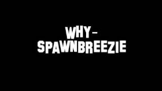 Why - Spawnbreezie chords