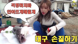 농촌여신 한별Tv대왕대구 손질후 포떠서 전을부쳐서먹었다 Mukbang