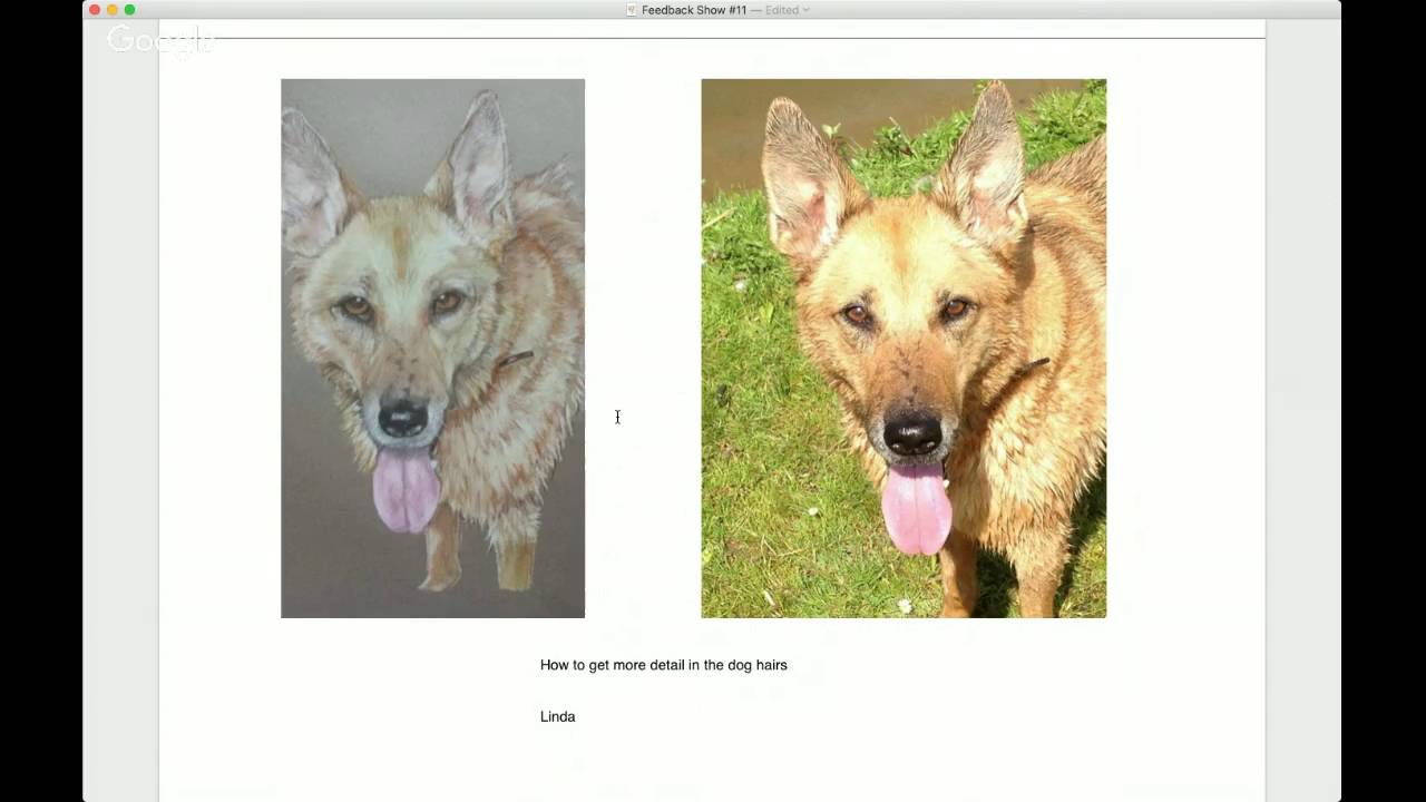 Feedback Show #11 - Background Advice and Animal Fur - YouTube