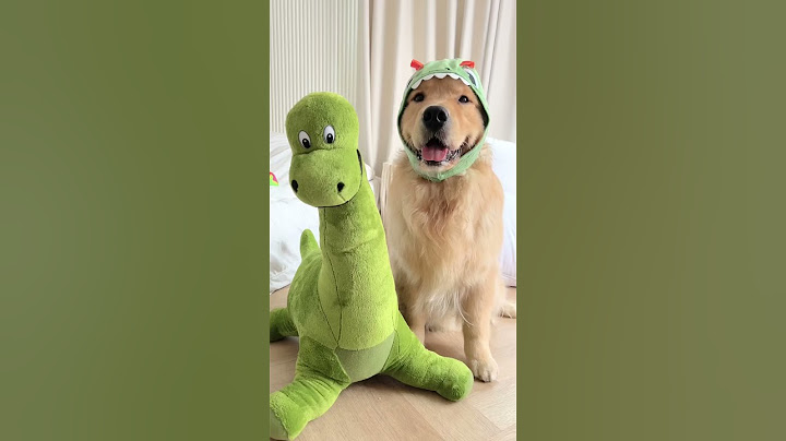 ไดโนจุ๊ม🦕 | Japan and Friends