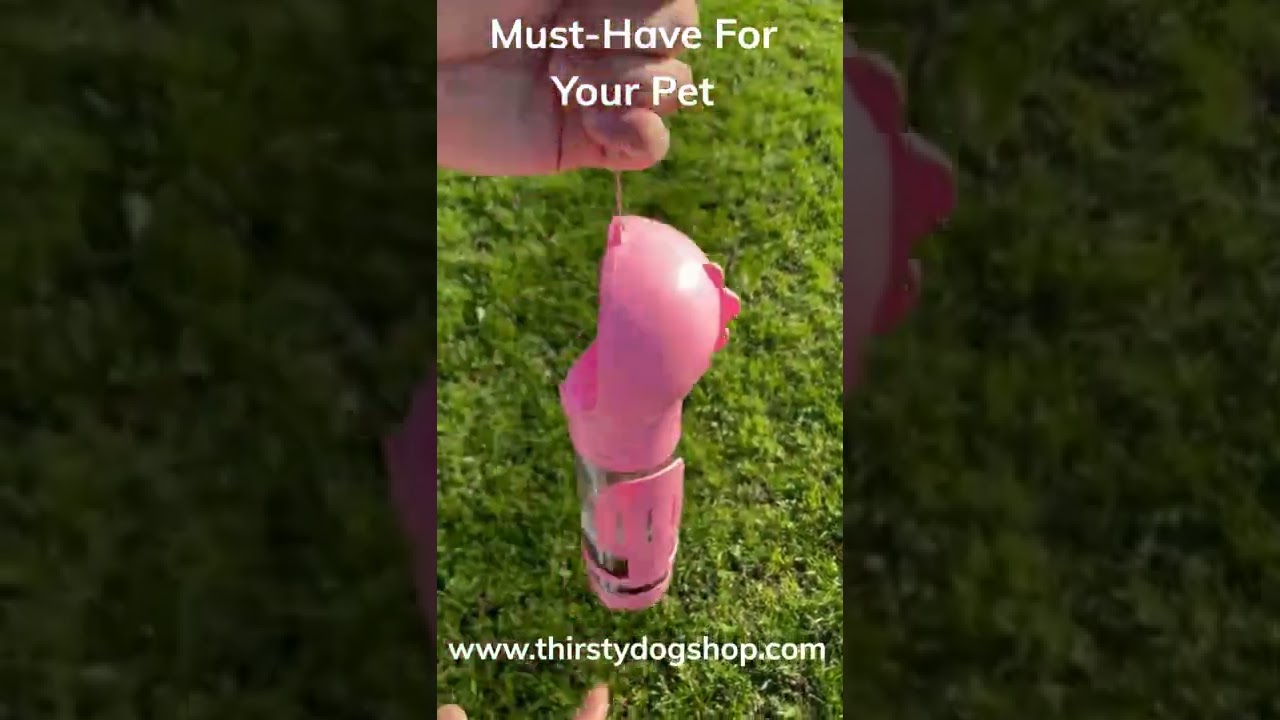 New Smart Dog Water Bottle, Must Have In 2023 !!!!